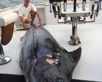 giant tuna fish on the side of the boat
